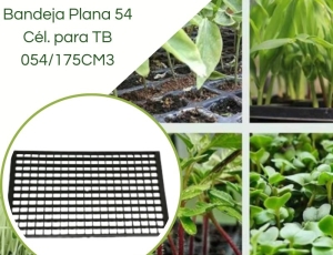 Bandeja Plana 54 Células para TB 054/175CM3