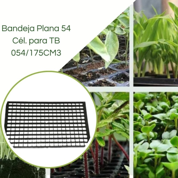 Bandeja Plana 54 Células para TB 054/175CM3