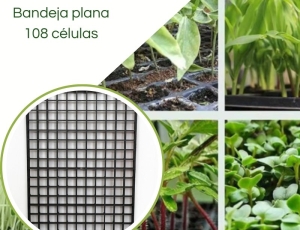 Bandeja plana Grade 108 células