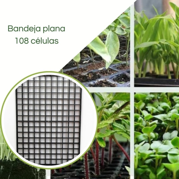 Bandeja plana Grade 108 células