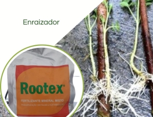 Fertilizante Enraizador Rootex 1kg