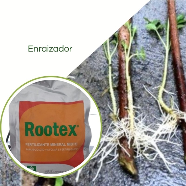 Fertilizante Enraizador Rootex 1kg