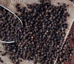 Rafia de Solo Colheita de Pimenta do Reino