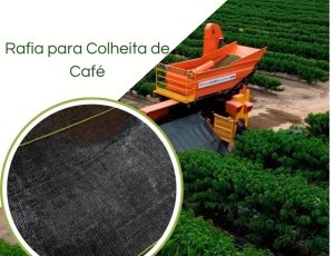 Pano Conheira De Café Rafia de Solo Colheita Café