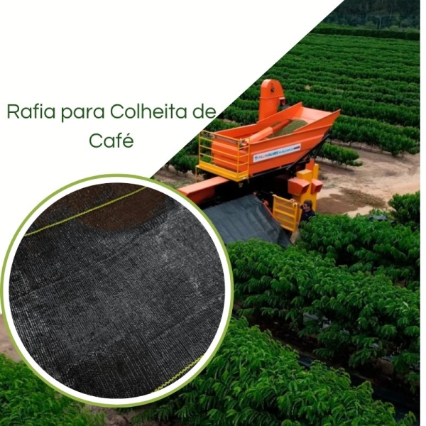 Pano Conheira De Café Rafia de Solo Colheita Café
