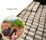 Paper Pot - Embalamgem Para Muda Biodegradável /Milheiro
