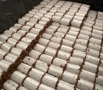 Paper Pot - Embalamgem Para Muda Biodegradável /Milheiro