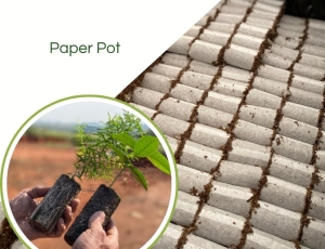 Paper Pot - Embalamgem Para Muda Biodegradável /Milheiro