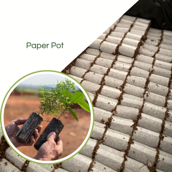 Paper Pot - Embalamgem Para Muda Biodegradável /Milheiro