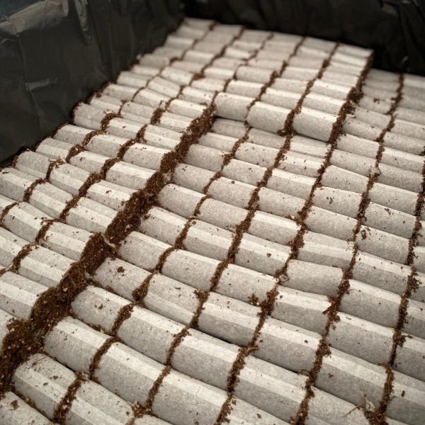 Paper Pot - Embalamgem Para Muda Biodegradável /Milheiro