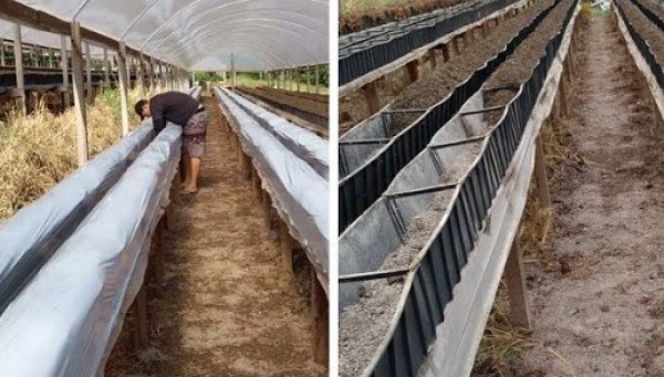 Lona Calha 0,4 x 300 Para Produção de Morango