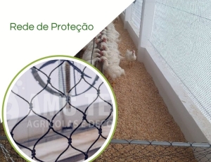Rede 2x2 para Avicultura, Pisicultura e criação de Animais 