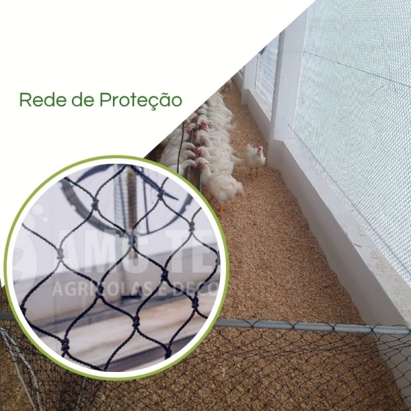 Rede 3x3 para Avicultura, Pisicultura e criação de Animais 