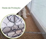 Rede 5x5 para Avicultura, Pisicultura e criação de Animais 