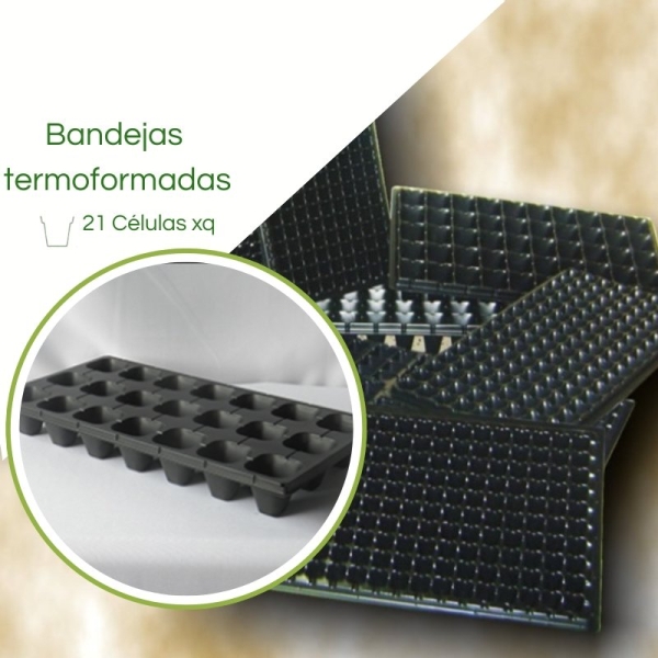 Bandeja Termoformadas 21 Células - Caixa c/ 90pç