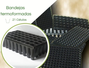 Bandeja Termoformadas XQ21 Células - Caixa c/ 200pç