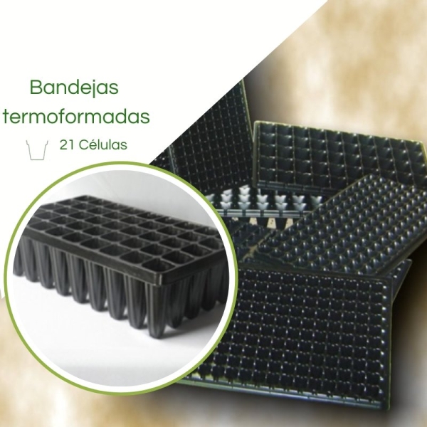 Bandeja Termoformadas XQ21 Células - Caixa c/ 200pç