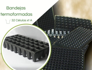 Bandeja Termoformadas XT 32 Células - Caixa c/ 100pç