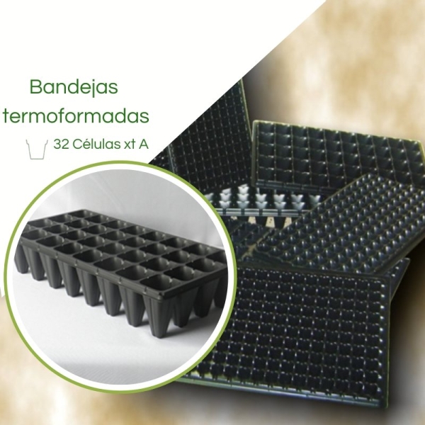 Bandeja Termoformadas XT 32 Células - Caixa c/ 100pç