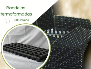 Bandeja Termoformadas XQ 50 Células - Caixa c/ 200pç