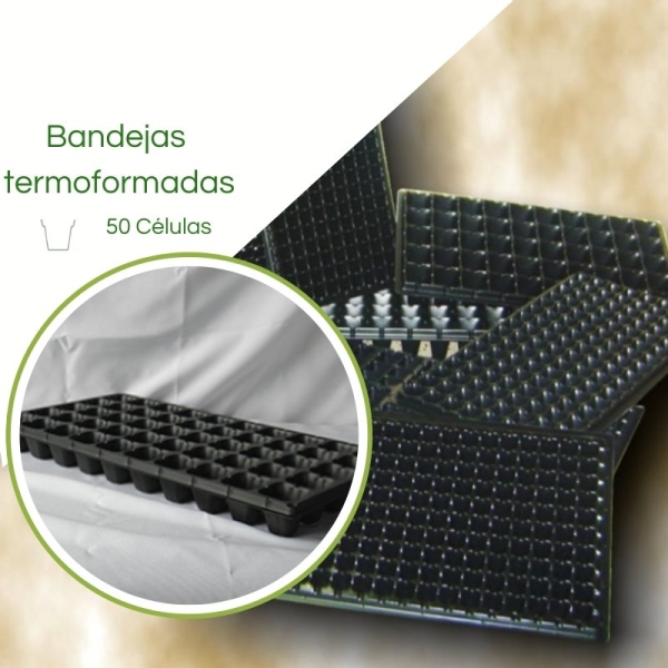 Bandeja Termoformadas XQ 50 Células - Caixa c/ 200pç