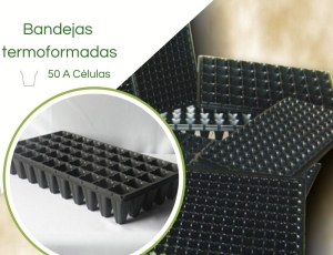 Bandeja Termoformadas XT50A Células - Caixa c/ 100pç