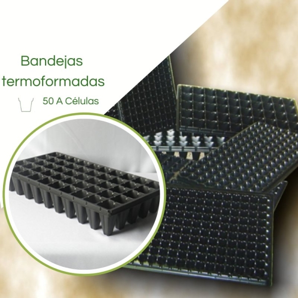 Bandeja Termoformadas XT50A Células - Caixa c/ 100pç