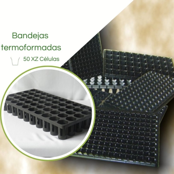 Bandeja Termoformadas XZ50 Células - Caixa c/ 100pç
