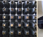 Bandeja Termoformadas 72E Células - Caixa c/ 70pç