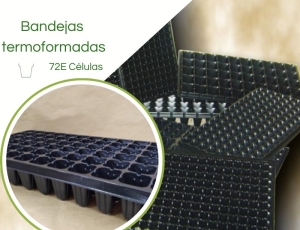 Bandeja Termoformadas 72E Células - Caixa c/ 70pç