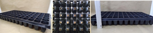 Bandeja Termoformadas 72E Células - Caixa c/ 70pç