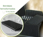 Bandeja Termoformadas  XQ 72 Células - Caixa c/ 200pç