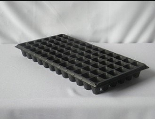 Bandeja Termoformadas  XQ 72 Células - Caixa c/ 200pç