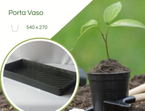 Caixa Para Mudas CX C/ 50