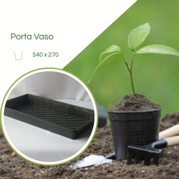 Caixa Para Mudas CX C/ 50