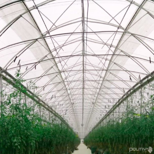 Tela Antiafídeo 50 mesh - Politiv 