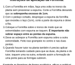 Formifita Barreira Ecológica Contra Formiga Cortadeira