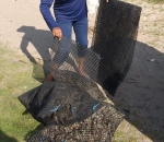 Travesseiro Cultivo Ostra 4mm 1,00 x 0,50 (BOLSA OYSTER 4MM DIAMANTE)