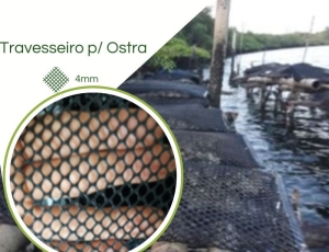 Travesseiro Cultivo Ostra 4mm 1,00 x 0,50 (BOLSA OYSTER 4MM DIAMANTE)