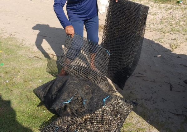 Travesseiro Cultivo Ostra 4mm 1,00 x 0,50 (BOLSA OYSTER 4MM DIAMANTE)