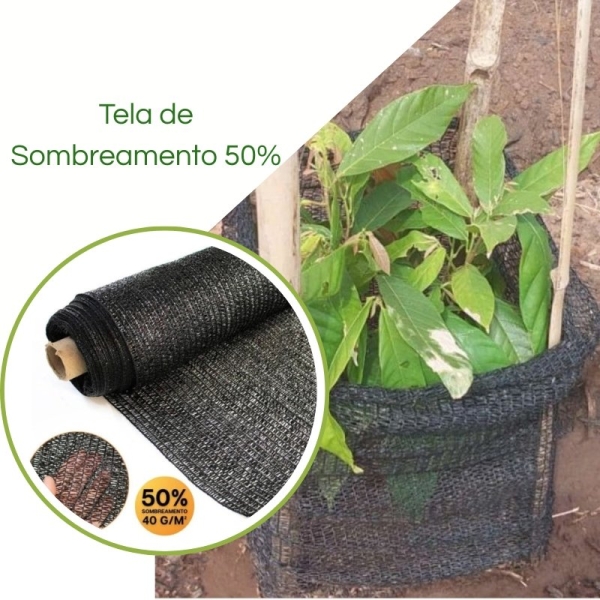 Tela Sombreamento no Cultivo de Cacau 50%