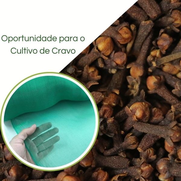 Tela Fachadeira Verde - Cultivo de Cravo