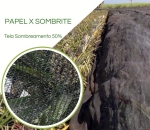 Tela Sombreamento 50% para Proteção da Queima de Abacaxi