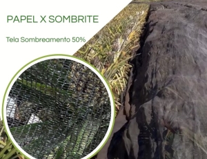 Tela Sombreamento 50% para Proteção da Queima de Abacaxi