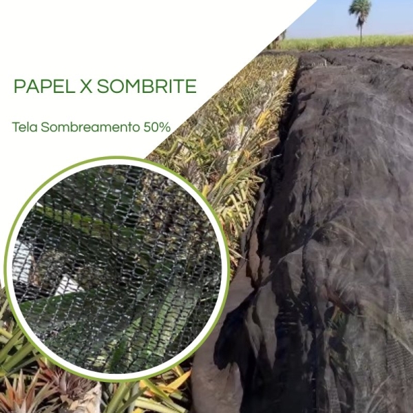 Tela Sombreamento 50% para Proteção da Queima de Abacaxi