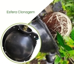 Esfera Rooter p Alporquia Clonagem de Plantas Galho Arvore Flor Bola Enraizadora Tamanho P