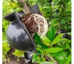 Esfera Rooter p Alporquia Clonagem de Plantas Galho Arvore Flor Bola Enraizadora Tamanho P