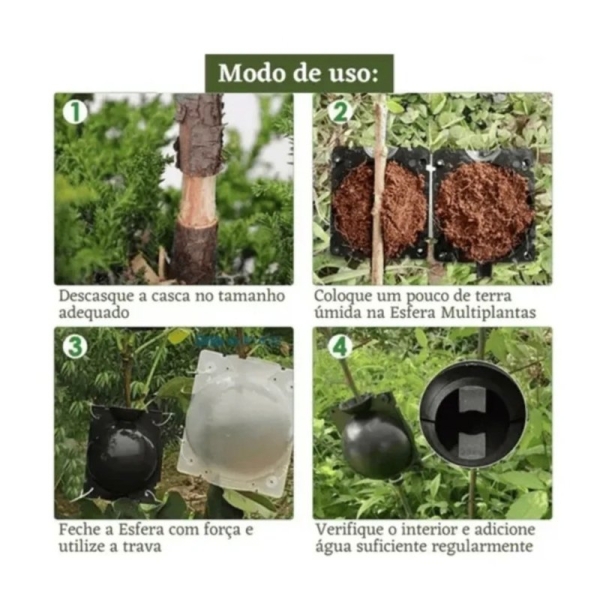 Esfera Rooter p Alporquia Clonagem de Plantas Galho Arvore Flor Bola Enraizadora Tamanho P