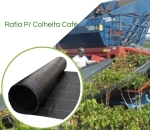 Rafia Lona de Colheita de Café em grão Manual 