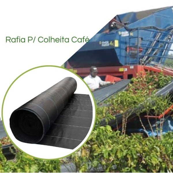 Rafia Lona de Colheita de Café em grão Manual 
